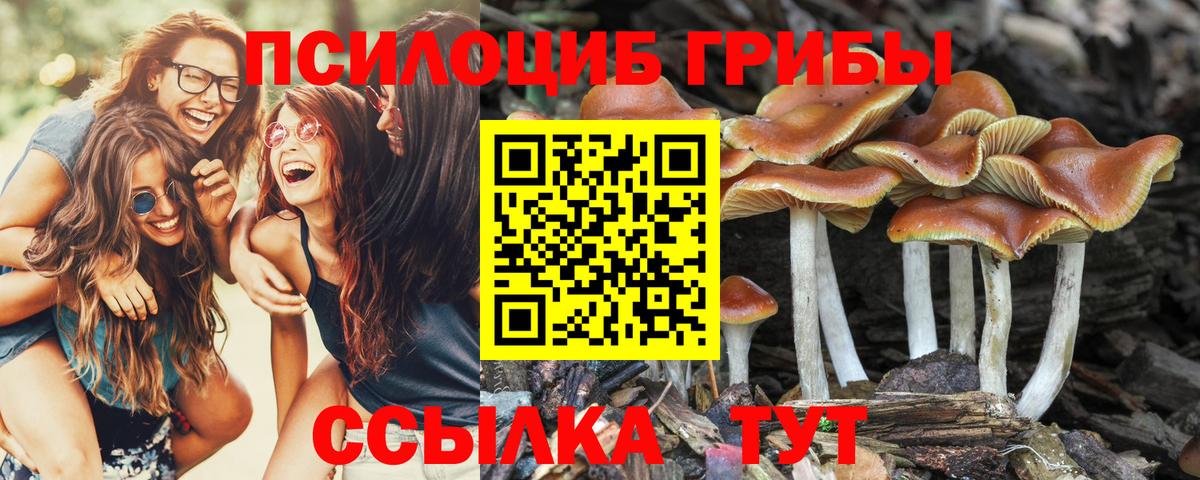 Псилоцибиновые грибы прущие грибы Кохма