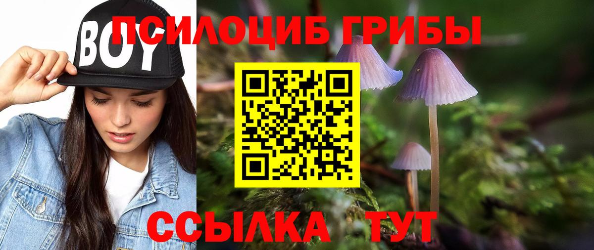 Псилоцибиновые грибы Psilocybe  Вход с VPN  Кохма  Псилоцибиновые грибы MAGIC MUSHROOMS 